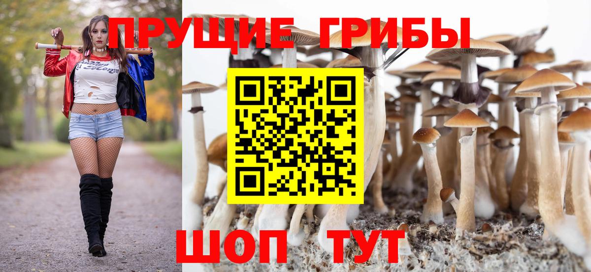 Галлюциногенные грибы Cubensis  Вход с VPN  Жигулёвск  Галлюциногенные грибы ЛСД 