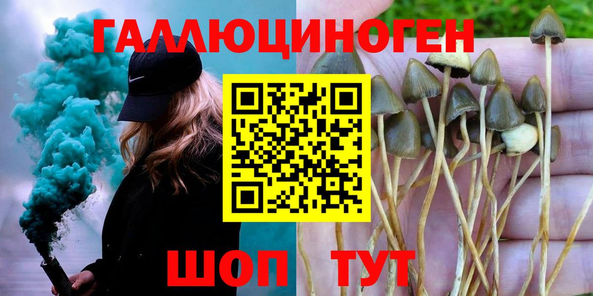Галлюциногенные грибы Psilocybe Жигулёвск